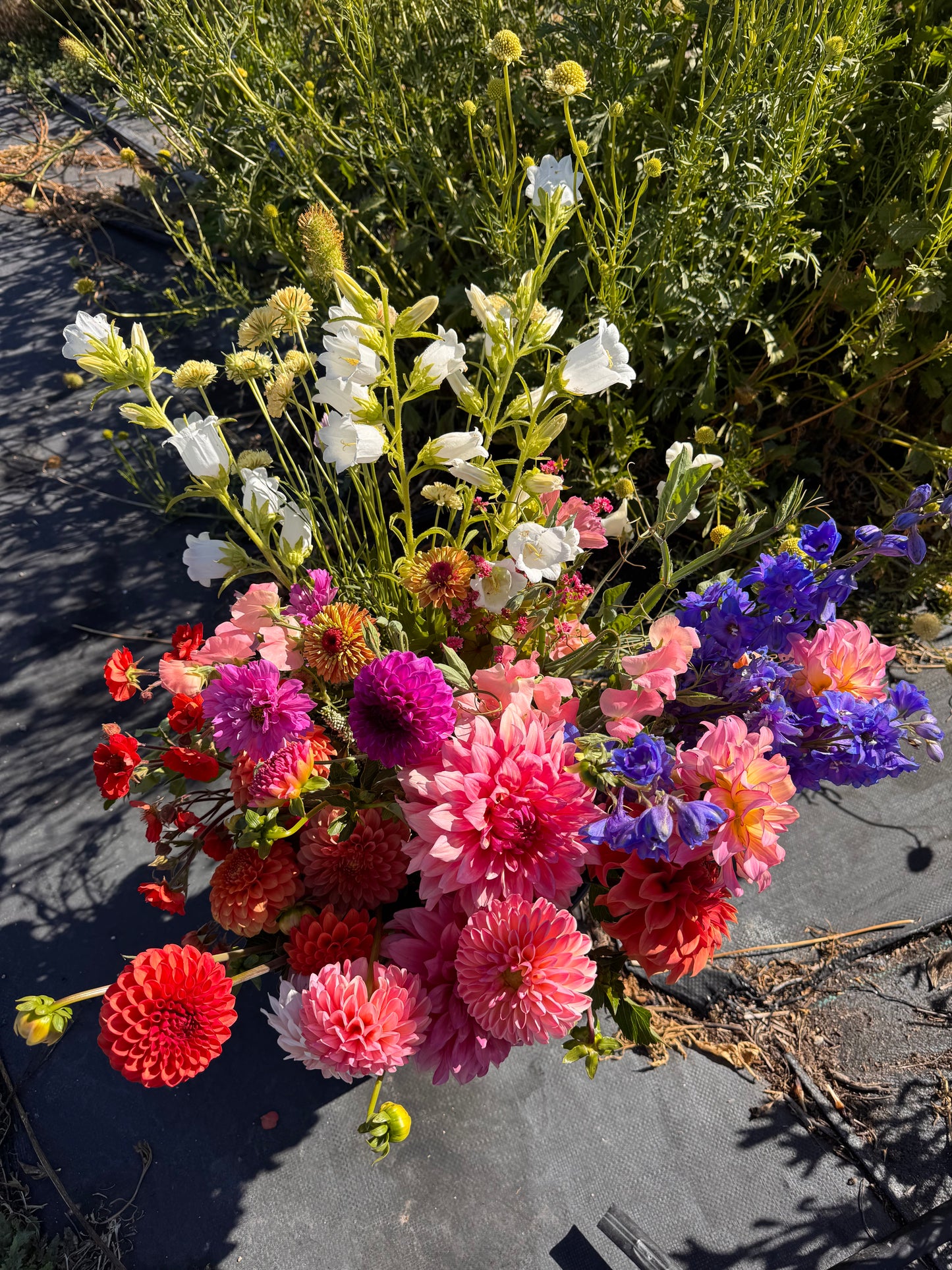DIY Farmer's Choice Flower Bucket