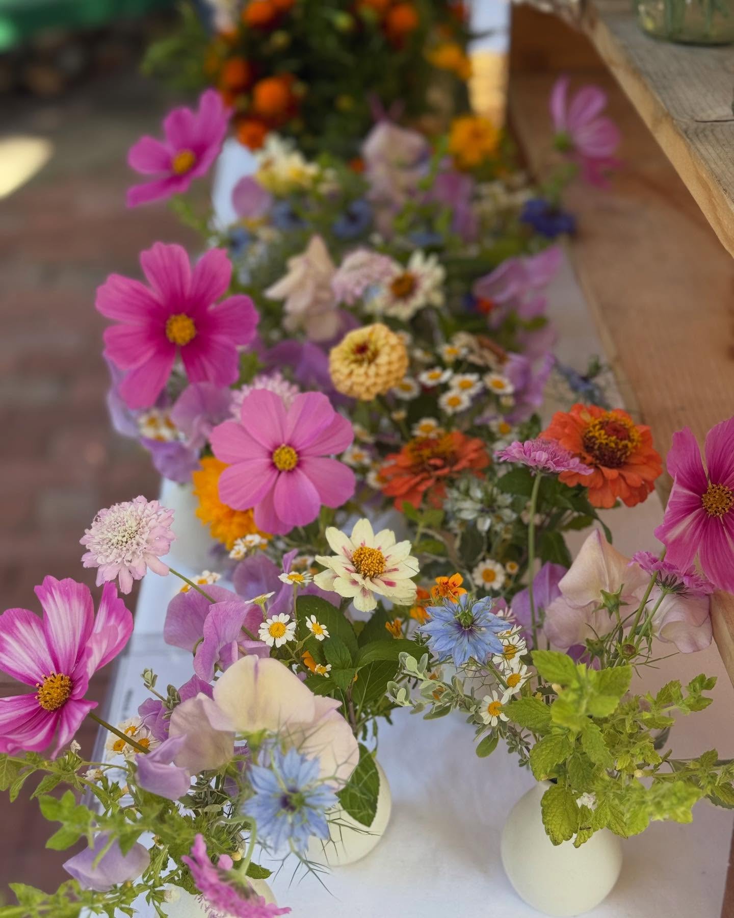 6 Weeks of Mixed Bouquets