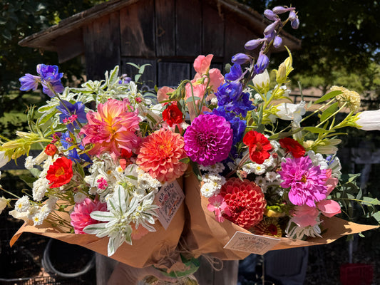 6 Weeks of Mixed Bouquets