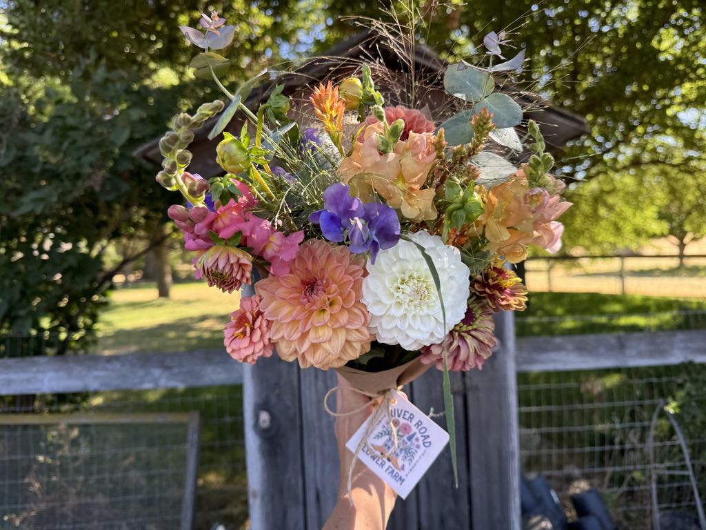 Mother's Day Cut Flower Garden